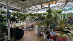 Summerdale (D22), Condominium #479998981